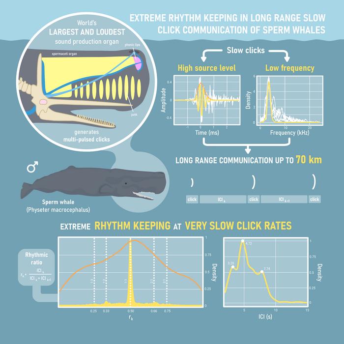 Graphical abstract