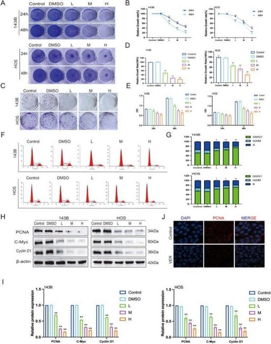 Veratramine inhibits the proliferation of human osteosarcoma cells.