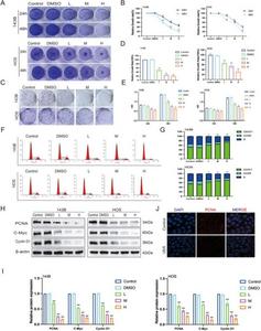 Veratramine inhibits the proliferation of human osteosarcoma cells.