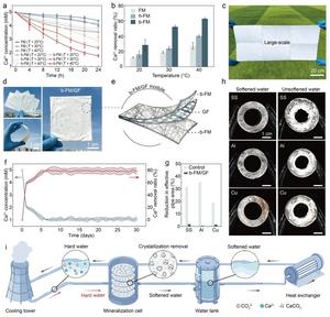 From Biomineralization to Energy Applications — Chinese Researchers Decode the Natural Wisdom Hidden in Avian Eggshell Membranes