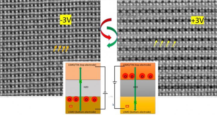 EM picture of hafniumoxide capacitor