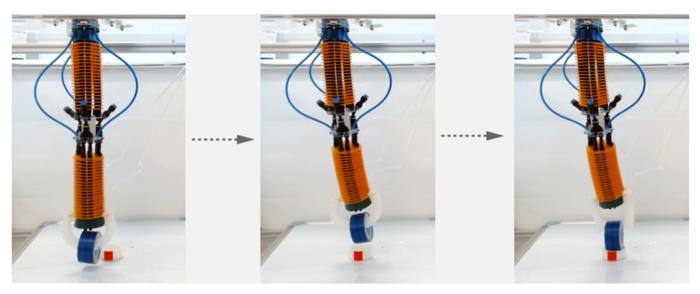 The 160g soft robotic arm with a 37.2 g soft gripper performs a pick-and-place task with a 56.4 g object, bending smoothly to grasp, lift and reposition the object in a controlled motion. The combined payload is 58.5% of the arm’s mass, demonstrating st
