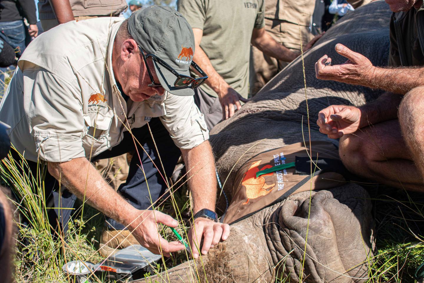 Rhisotope Rhino Project (1 of 2)
