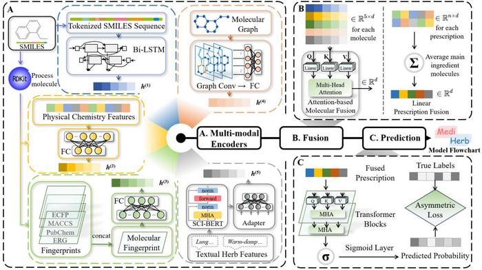Figure 1. Flowchart of the MediHerb model.