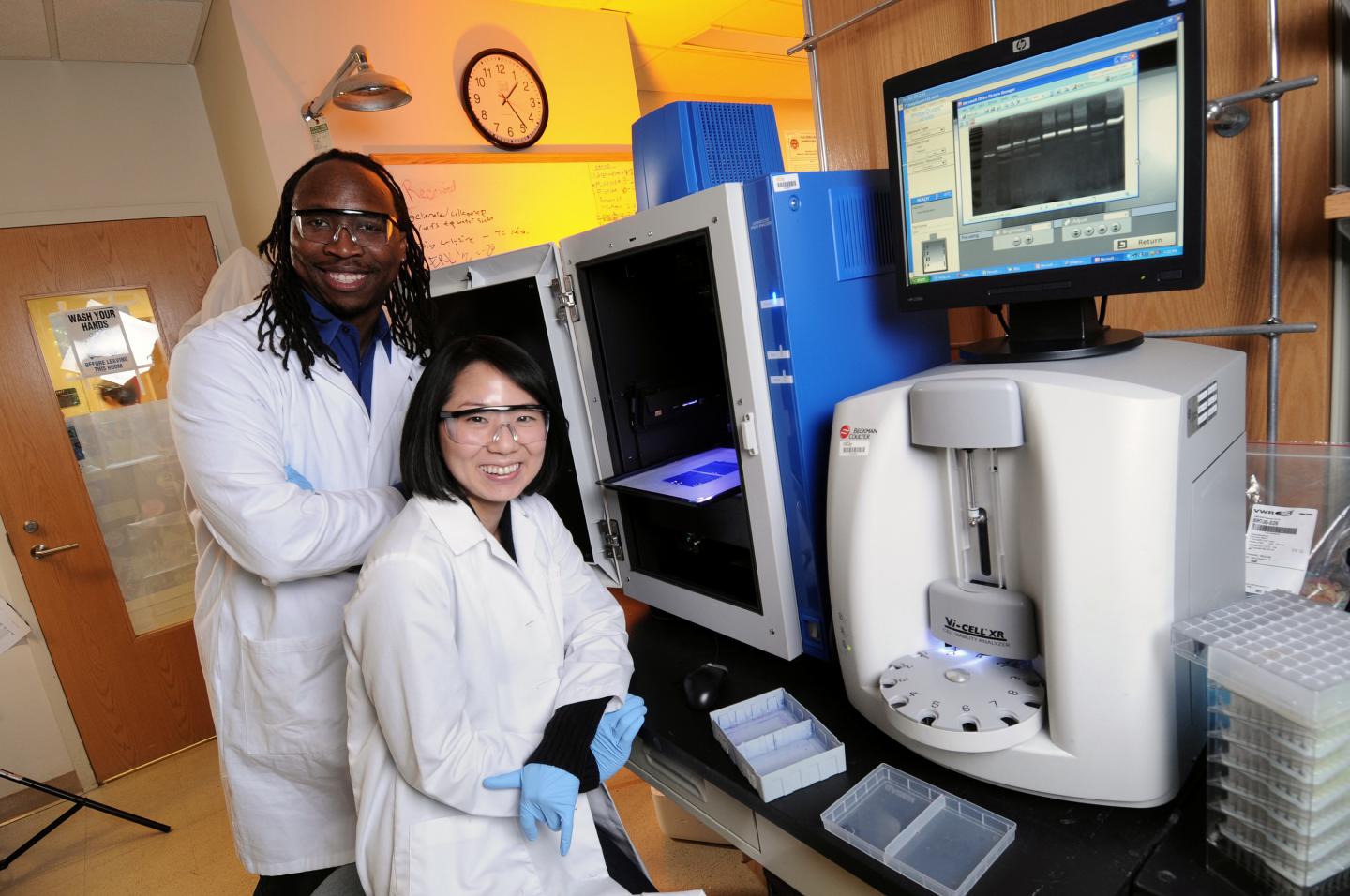 Studying Cathepsin Levels