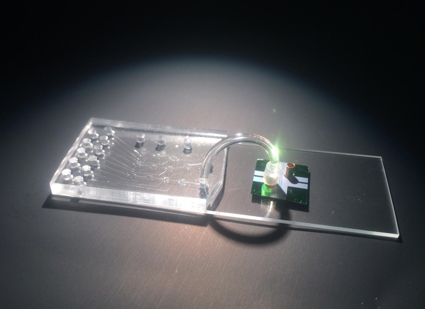 Hybrid Optofluidic Chip