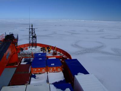 Australian Icebreaker
