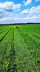 The 2026 model of the BOTONY weeding robot. Image provided by Greenfield Robotics.