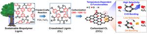 [Figure 1] Schematic diagram illustrating the synthesis process of lignin-based carbon catalysts