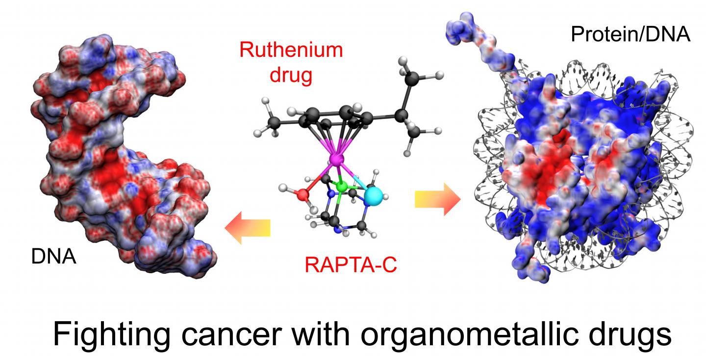 DNA and Drug