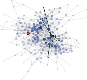 The Trajectory of Gossip