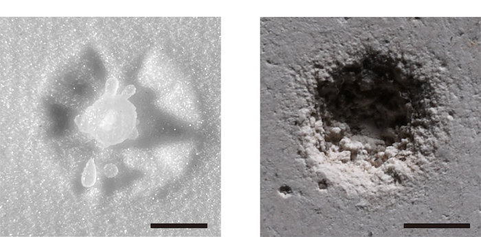 Droplet impacts comparison