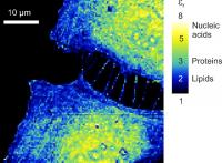 cell mapping 2