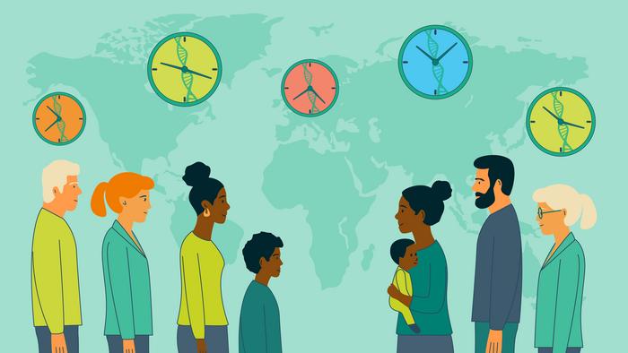 Epigenetic clocks
