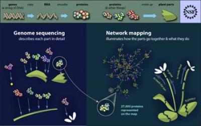 New Network Map