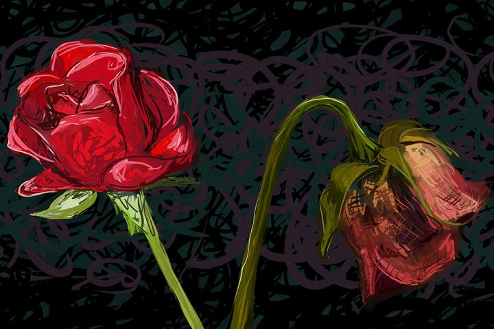 Roses