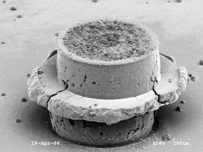 Copper Pillar (1 of 2)