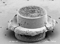 Copper Pillar (1 of 2)