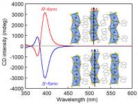 Circular dichroism spectra
