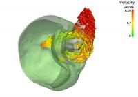 Large Skeleton Parts Move like a Screw and a Nut