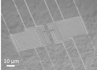 SEM Image