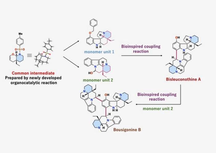 Overview of the proposed synthetic strategy