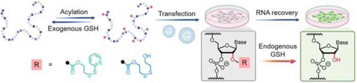 Triggering RNA activation on demand
