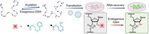 Triggering RNA activation on demand