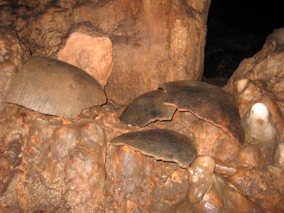 Mayan Pottery