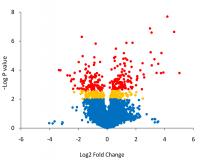 Volcano Plot
