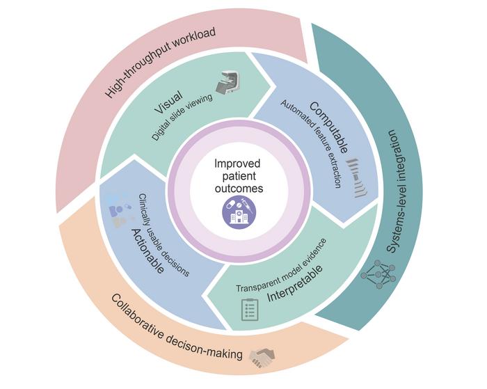 From slide viewing to actionable clinical evidence in computational pathology