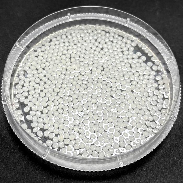 Fat-trapping microbeads provide drug-free weight loss in rats, study finds
