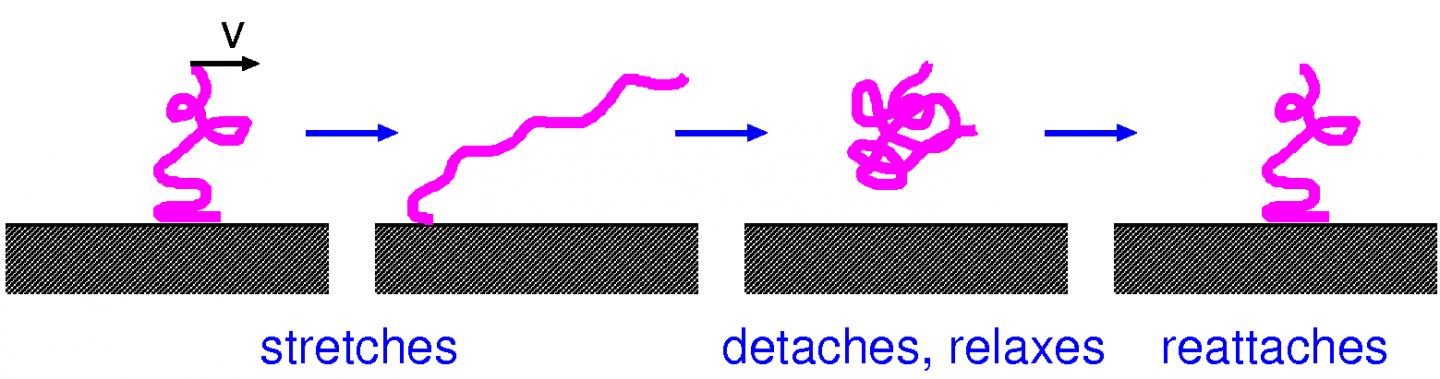 Polymer Chain
