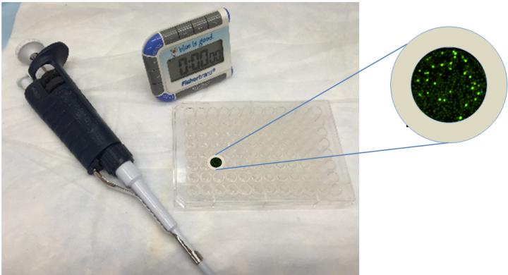New Approach Tests the Strength of Immunity