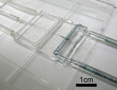 Microinjection Device
