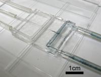 Microinjection Device