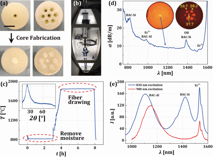 Overview of 3D Printing Bi and Er Co-Doped Silica Fibers