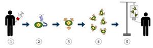 Redefining CAR-T cell therapy