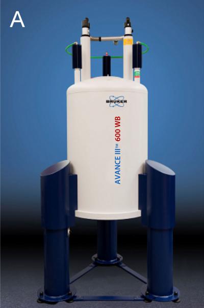 NMR Device