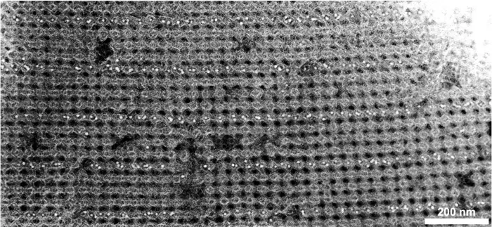 3D nanoparticle assembled using DNA-programmable bonds.