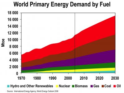World Primary Energy Demand by Fuel