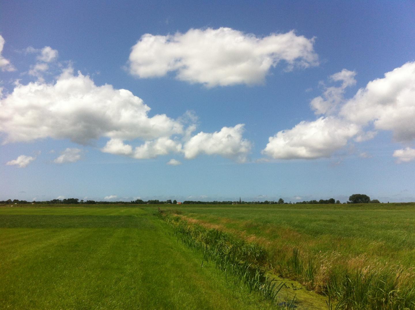 Testing Site in the Dutch Countryside