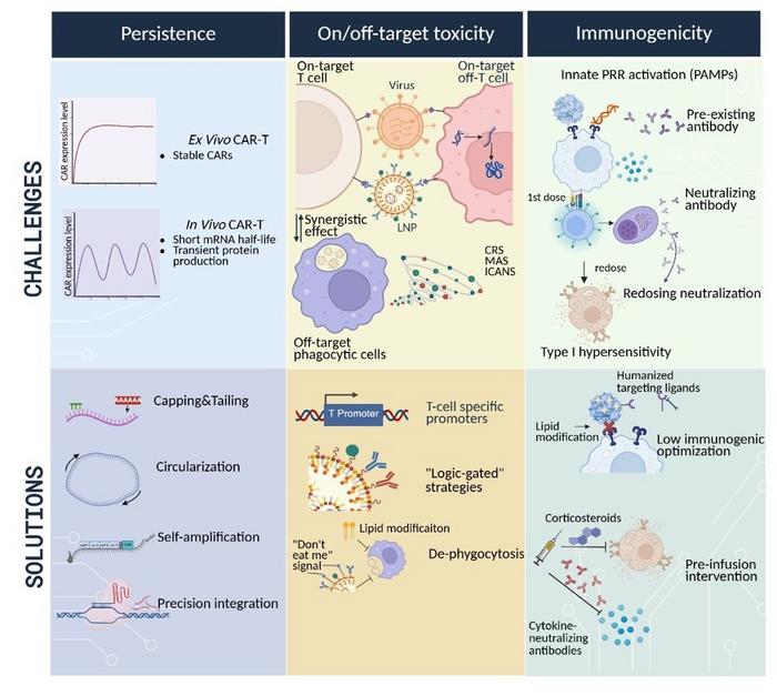 Challenges and solutions for in vivo CAR-T cell therapy
