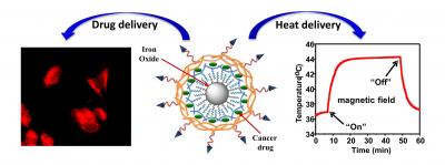 Drug Delivery System