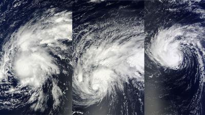Terra Image of Edouard