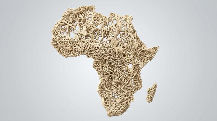 Osteoporosis and Bone Health in Africa