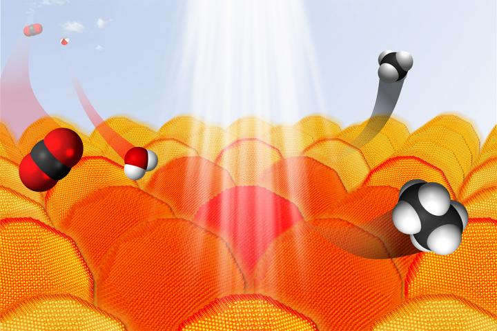 Sunlight, Gold, Water, Carbon Dioxide