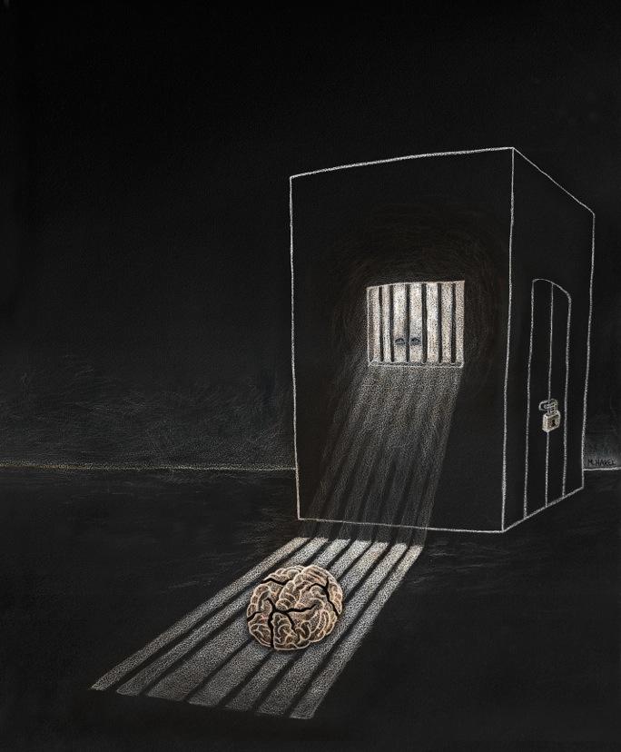 How Social Isolation Transforms the Brain