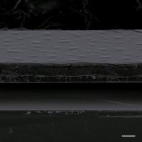ICE (3 of 3)