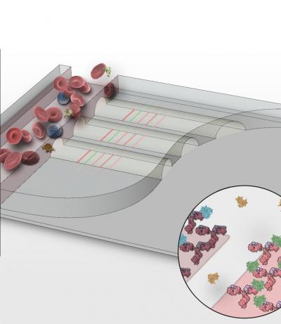 Integrated Blood-Barcode Chip -- Diagram